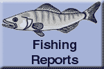 Fishing Report & Derbies
